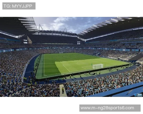 足球场翻译的多样性与文化背景探讨